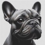 (image for) Blue French Bulldog